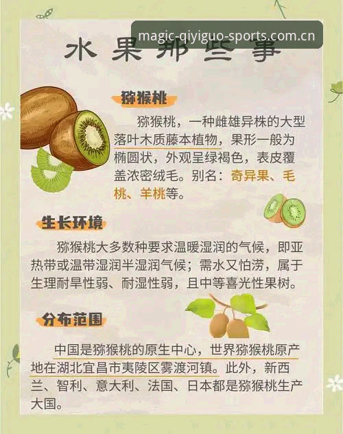 5个关键点解析奇异果体育快速查询的实际表现与使用价值